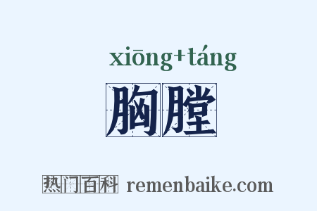 胸膛是什么意思的图片